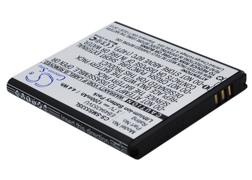 Batteria agli ioni litio - batteria, di